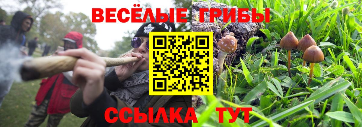 Галлюциногенные грибы GOLDEN TEACHER Астрахань