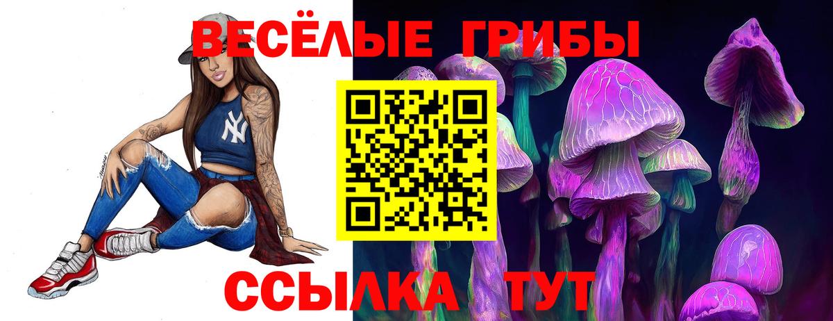 Псилоцибиновые грибы Cubensis  Вход с VPN  Астрахань  Галлюциногенные грибы Psilocybine cubensis 